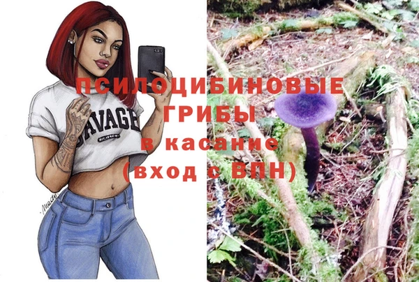 бошки Арсеньев