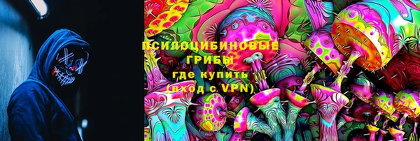 ПСИЛОЦИБИНОВЫЕ ГРИБЫ Баксан