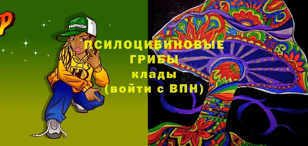 трава Осинники