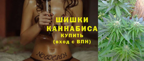 шишки Армянск