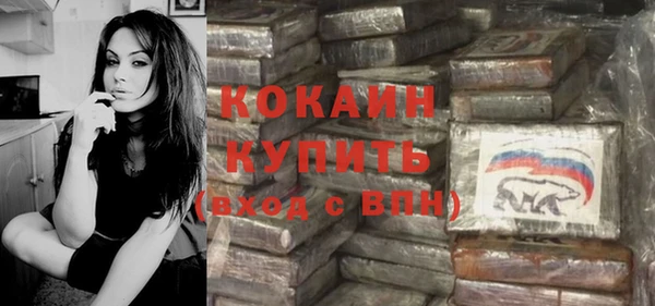 шишки Армянск